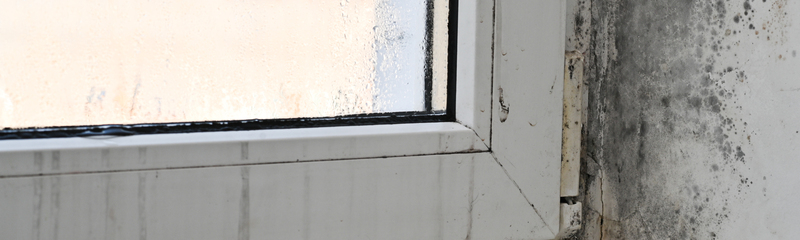 Mold